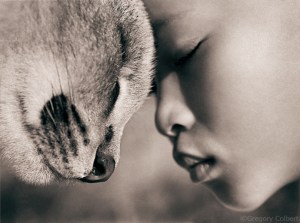 gregory-colbert_bigcat_silentsouldiers-poetry-ibiza_evalunes