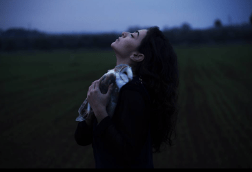 Schermafbeelding 2017-09-08 om 23.37.57