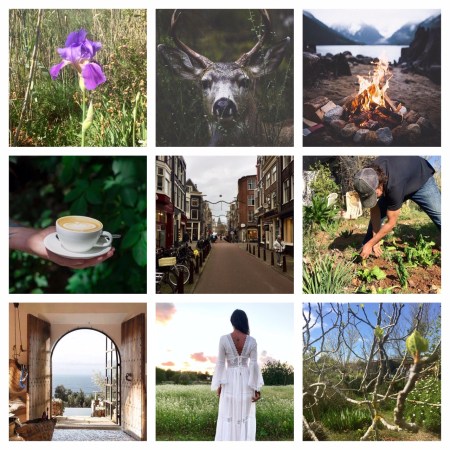 Mood & Words evalunes.com